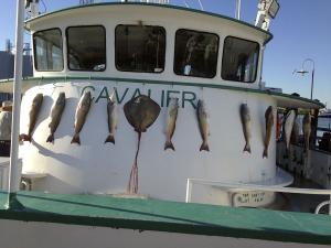 2013 Judges and Commissioners Fishing Trip